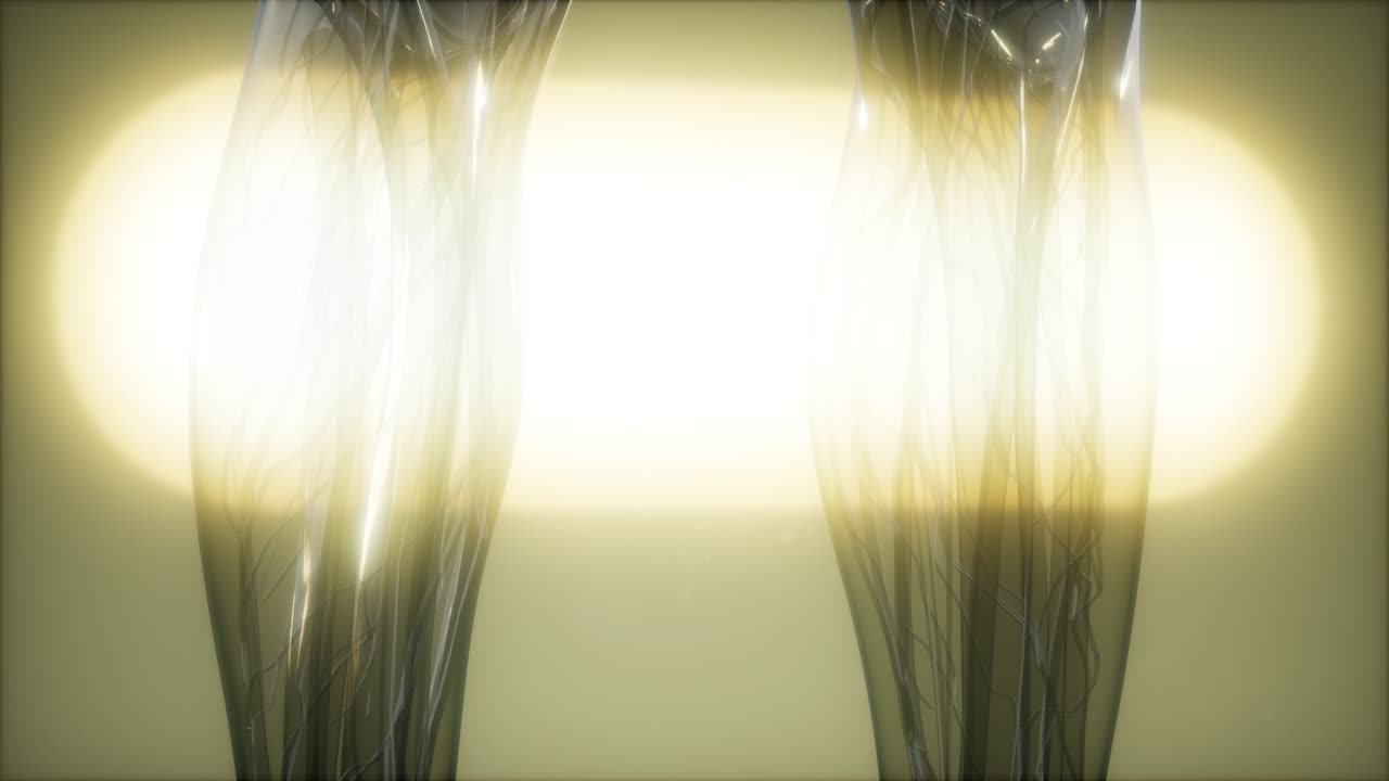 인체 의  ⁇ 스레이 이미지