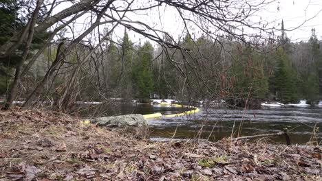 Peaceful-stream-meandering-through-a-verdant-forest