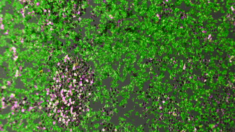 green and pink glitter texture