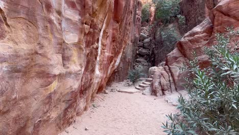 walking along a path in petra, jordan to find ancient stairs carved in the sandstone