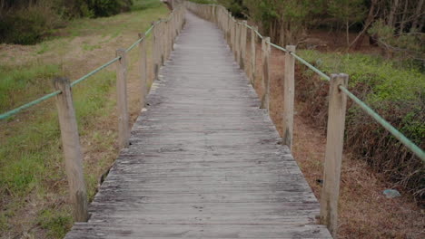 Wooden-boardwalk-stretching-into-the-distance,-surrounded-by-greenery-and-grass