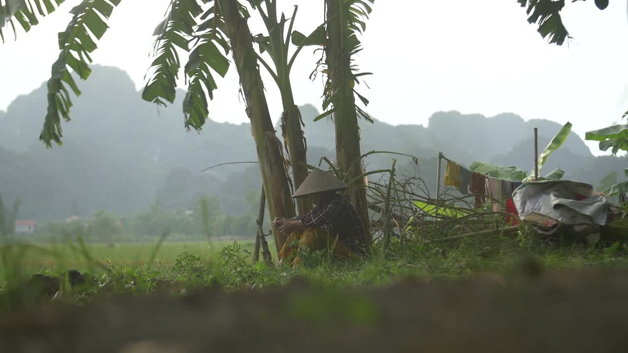 전통 의상을 입은 베트남 여성이 바나나 나무 아래에 앉았다 2