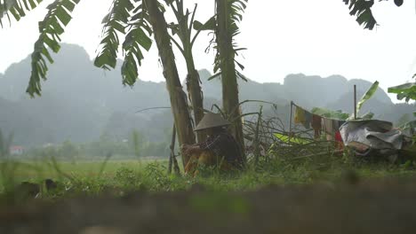 dama vietnamita vestida tradicionalmente se sentó bajo el árbol de plátano 2