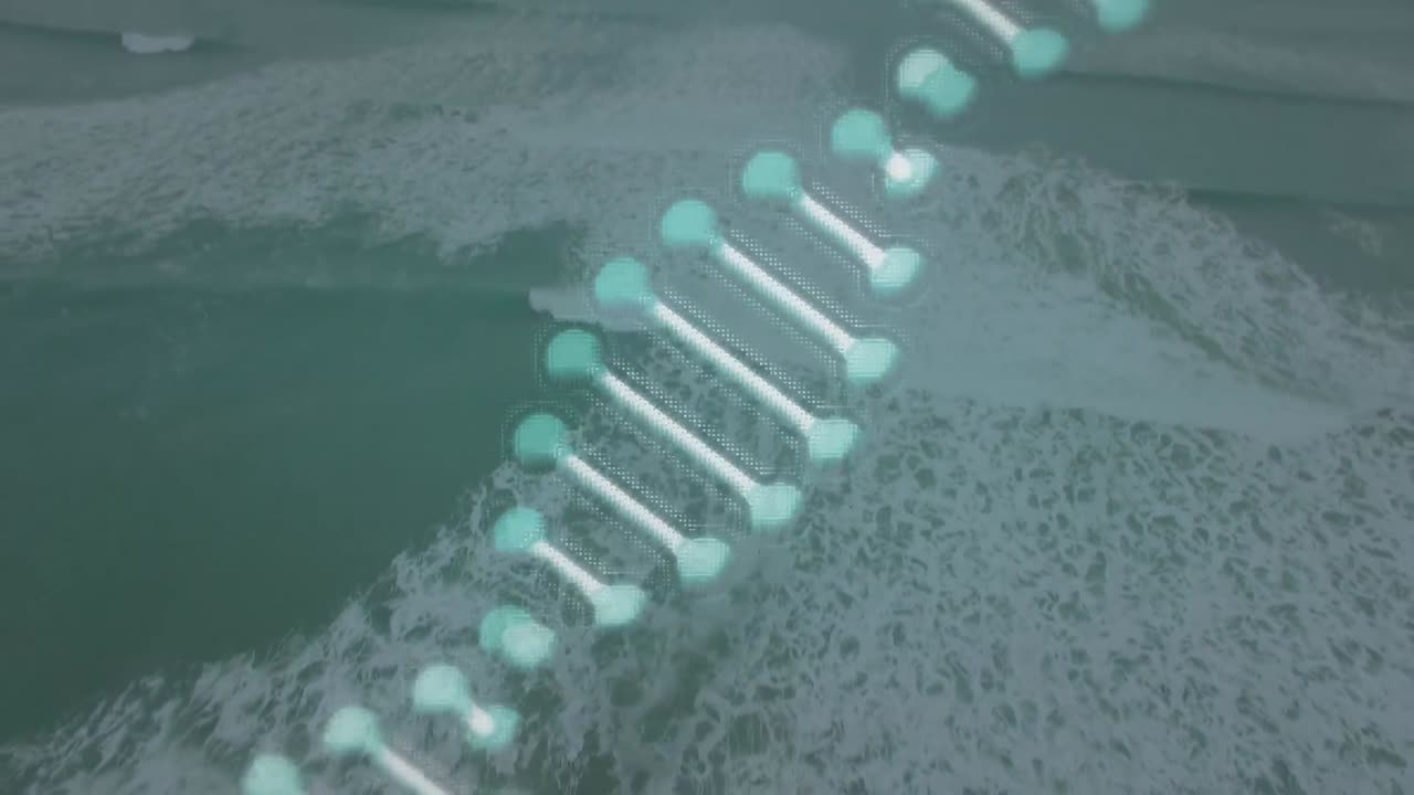 해양 풍경 위의 dna 가닥의 애니메이션