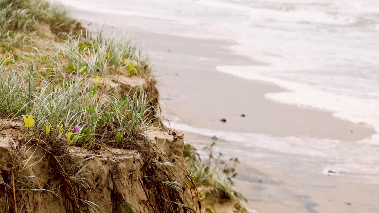 narrowneck 해변의 해안 침식을 보여주는 일련의 프레임, 풍경에 대한 자연 힘의 영향을 강조합니다.