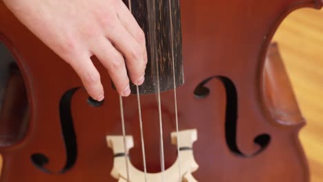 mano del músico tocando un instrumento musical de contrabajo, los dedos arrancando las cuerdas durante la actuación de pizzicato