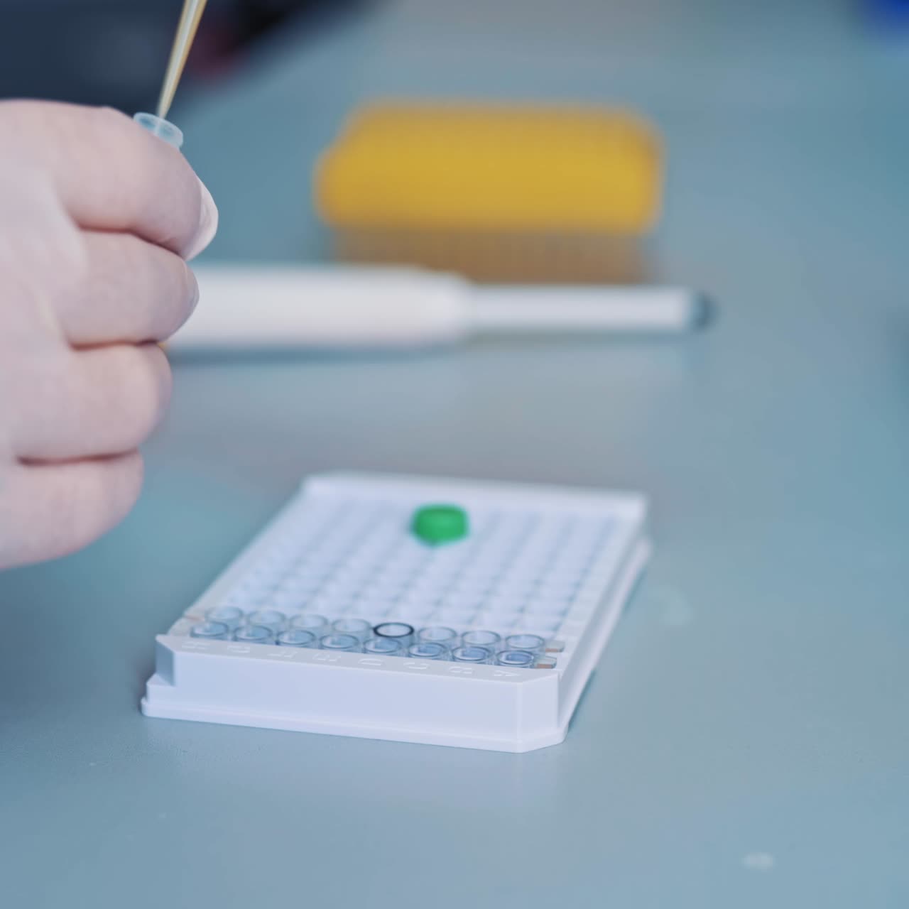 científico que trabaja en el laboratorio