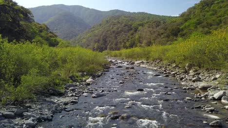 beautiful landscape in the mountain jungle in northwest argentina