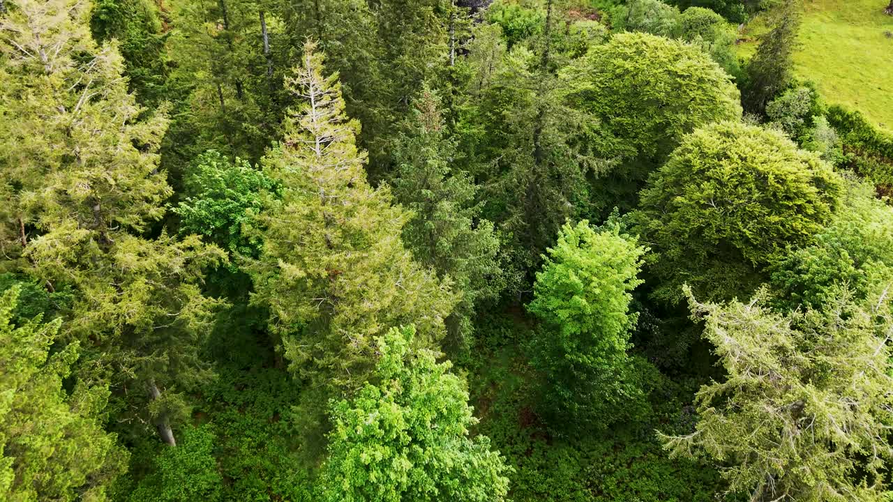 Drone flying close over treetops, raising up above rocky hilltop to reveal rural valley and horizon