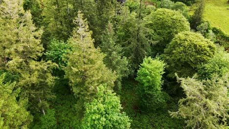 drone flying close over treetops, raising up above rocky hilltop to reveal rural valley and horizon