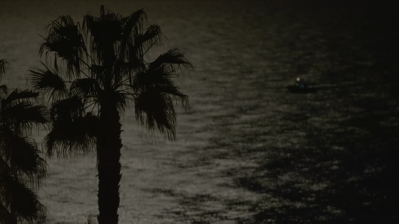 noche de mar con barco y palma