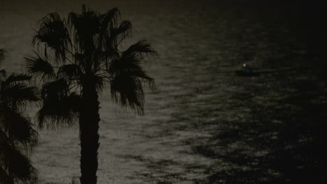 nacht zee met boot en palm