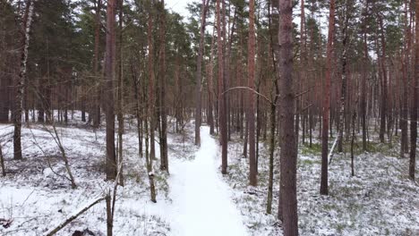 narrow snow covered hiking trail in woods, high angle