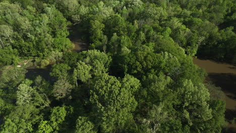 Dense-Forest-Along-Wolf-River-In-Collierville,-Tennessee,-USA