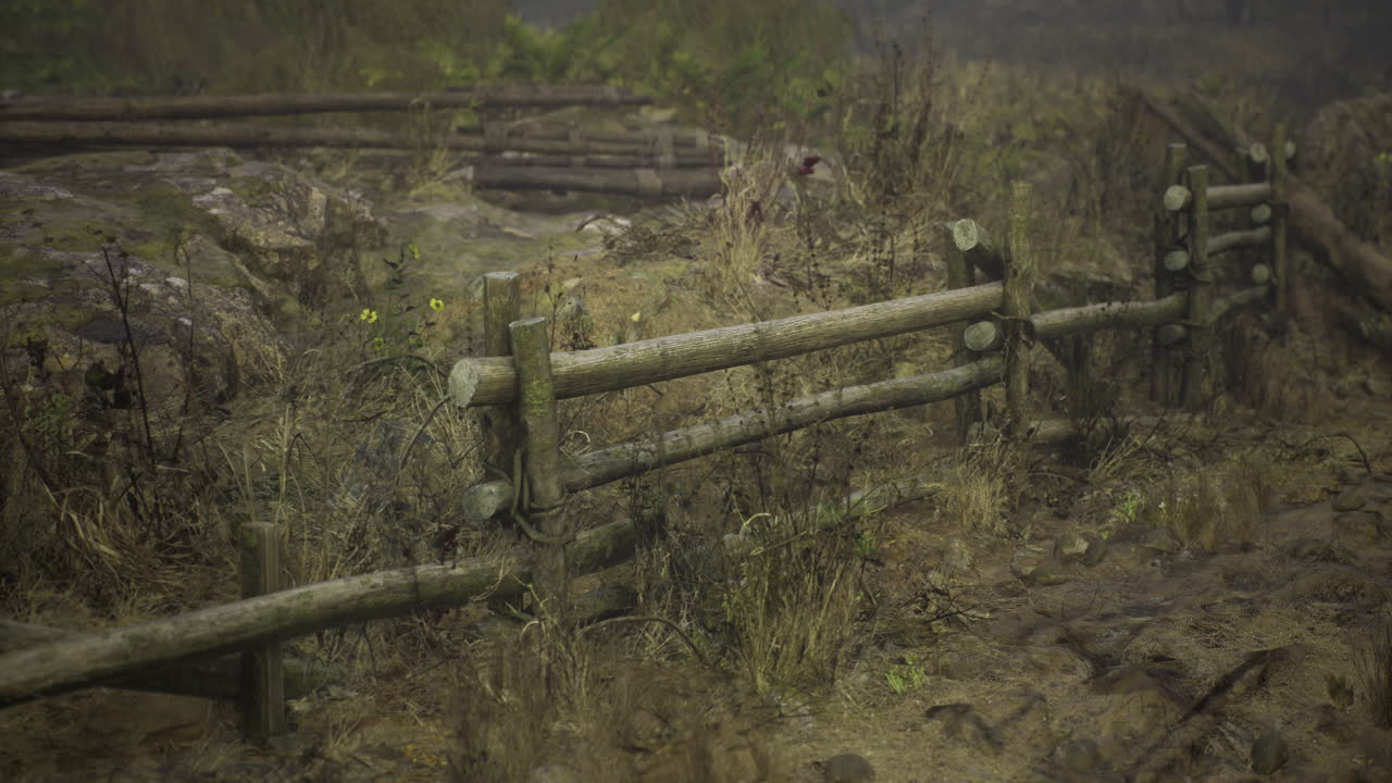Overgrown Fence in a Rural Landscape