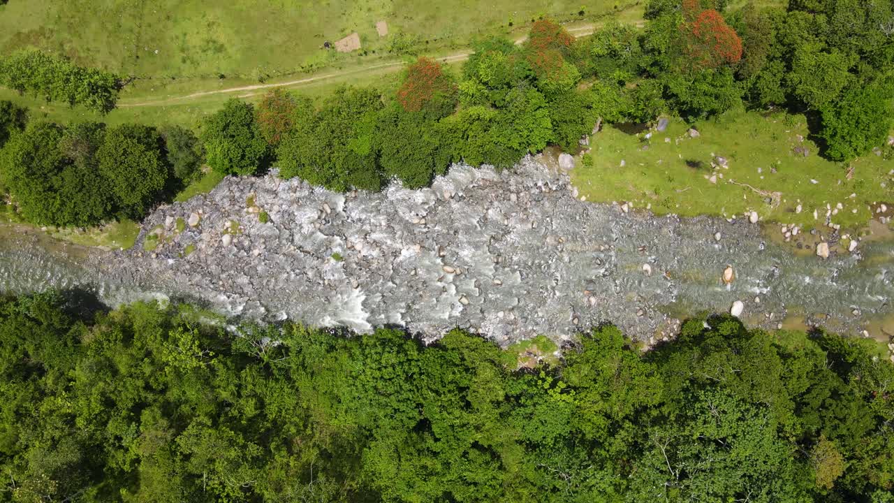 야생 동물, 나무, 초목, 바위가 있는 화창한 날의 리오 야케 델 노르테