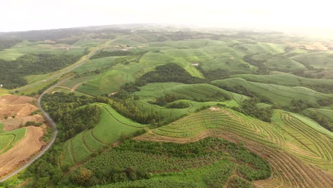 High-aerial-drone-pan-over-Sugar-cane-fields-and-banana-plantations-in-South-Africa