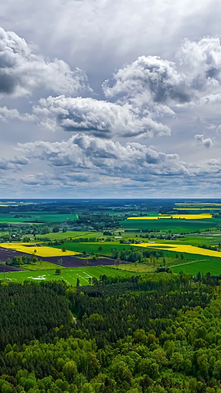 Aerial timelapse of farmland with yellow rapeseed and green fields under dramatic clouds, vertical