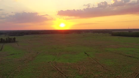 Big-orange-sun-over-the-grasslands-of-Land-O'Lakes-in-Florida