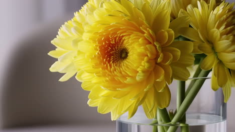 vibrant yellow flowers in a glass vase