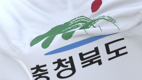 north chungcheong flag, province of south korea, loop