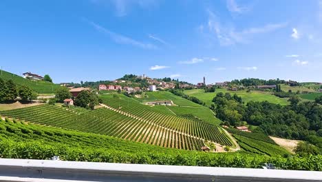 lush vineyards under a clear blue sky