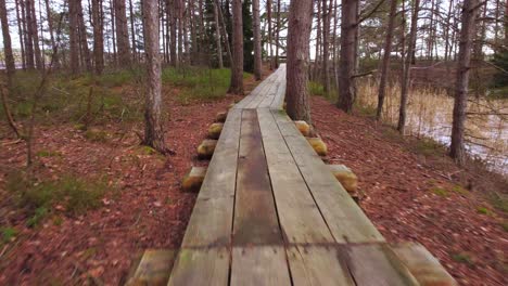 drone flying low over rural wooden plank path inside a mystic forest at day time