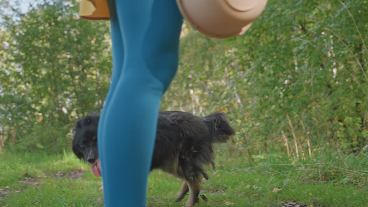 Cane nero che cammina vicino al sentiero del campeggio, con il pelo bagnato che luccica, gambe del proprietario in leggings blu che tengono in mano un cappello di paglia, alberi di betulla ed erba verde tutt'intorno, atmosfera da campeggiatore ed escursionista, atmosfera rilassata del pomeriggio