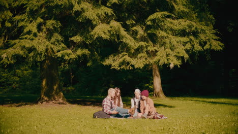 friends sitting on grass during picnic at park