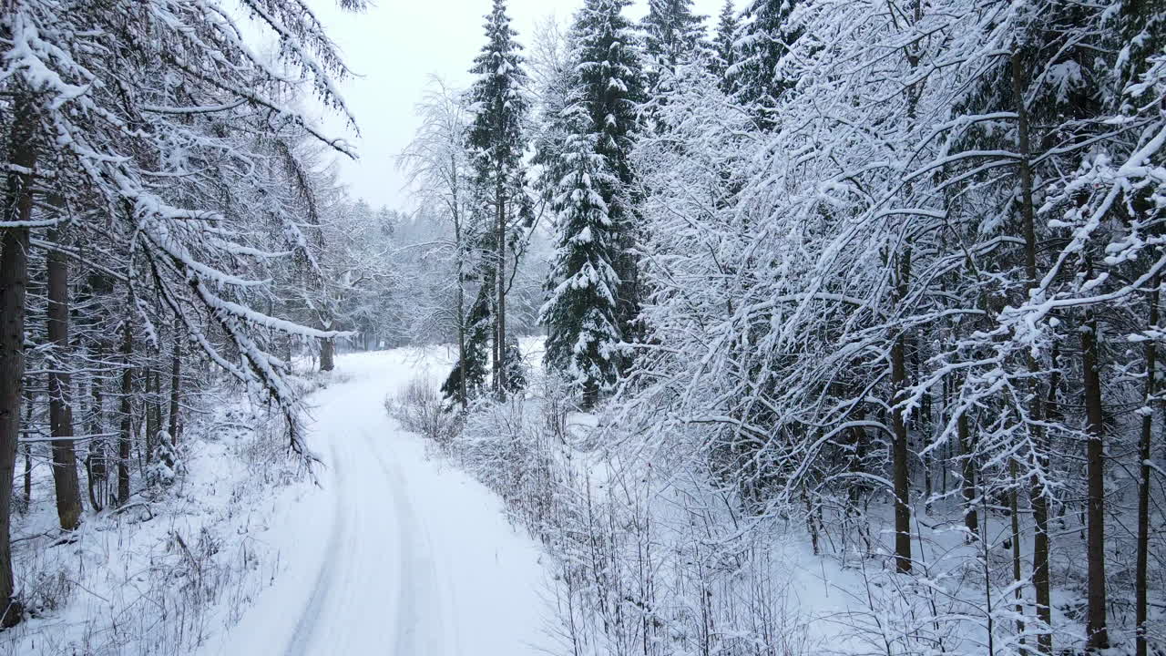 Luftdrone flyr sakte bakover langs den snødekte landeveien i skogen om vinteren, Polen, Deby