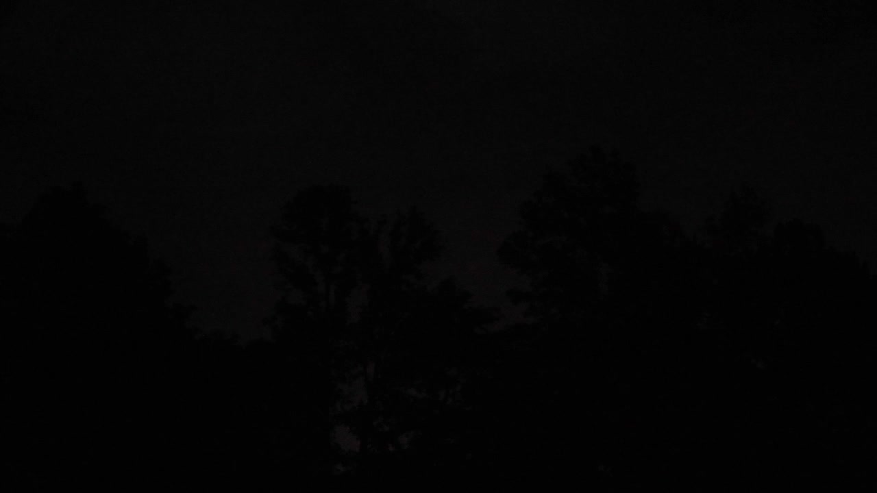 Fulmini sugli alberi a Boulder, Colorado. Temporale con fulmini che illuminano il cielo in Colorado. Fulmini che colpiscono fuori Boulder.