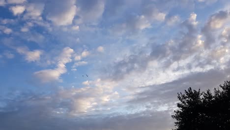 Patos-Volando-Durante-Las-Horas-Doradas-Con-Hermoso-Cielo-Y-Nubes-En-El-Fondo