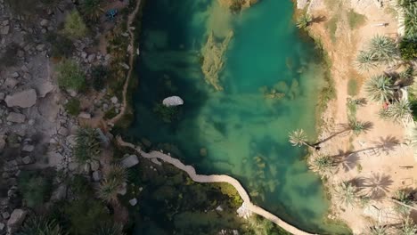 Aerial-of-beautiful-Wadi-Bani-Khalid-oasis-with-turquoise-water,-river-and-palm-trees-in-the-Sultanate-of-Oman