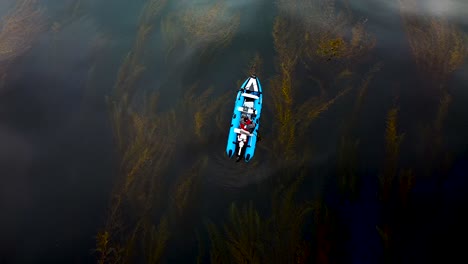 inflatable boat in kelp forest