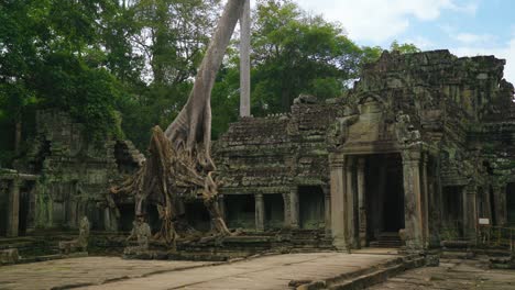 overgrown ruins of preah khan temple in angkor, siam reap, cambodia