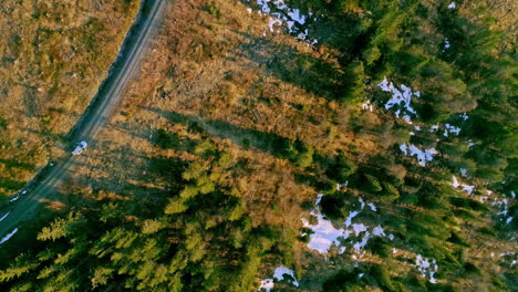 vista aérea de una hermosa carretera con camión dentro de un bosque con árboles verdes