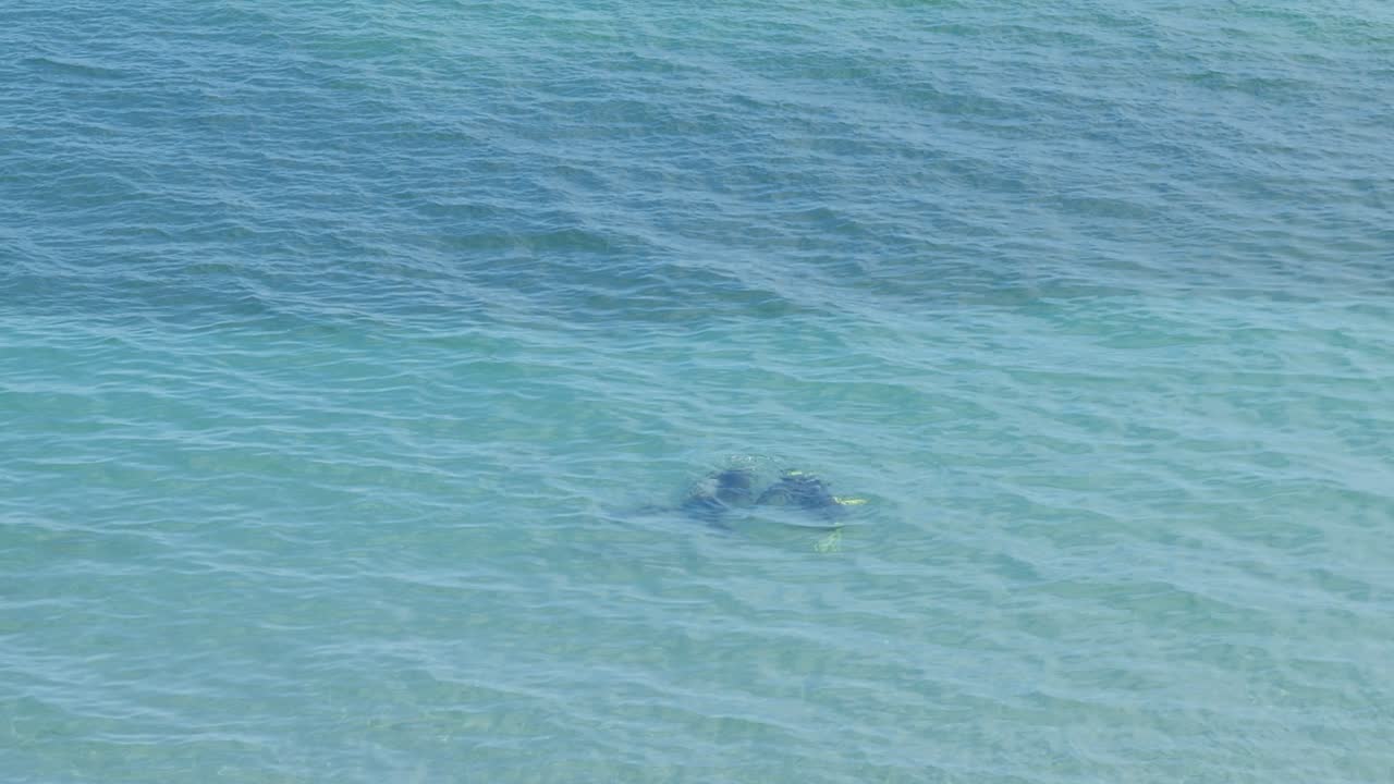 레크리에이션 스쿠버 다이버 커플, 검은 바다 물 아래 손을 잡고, 공중 보기