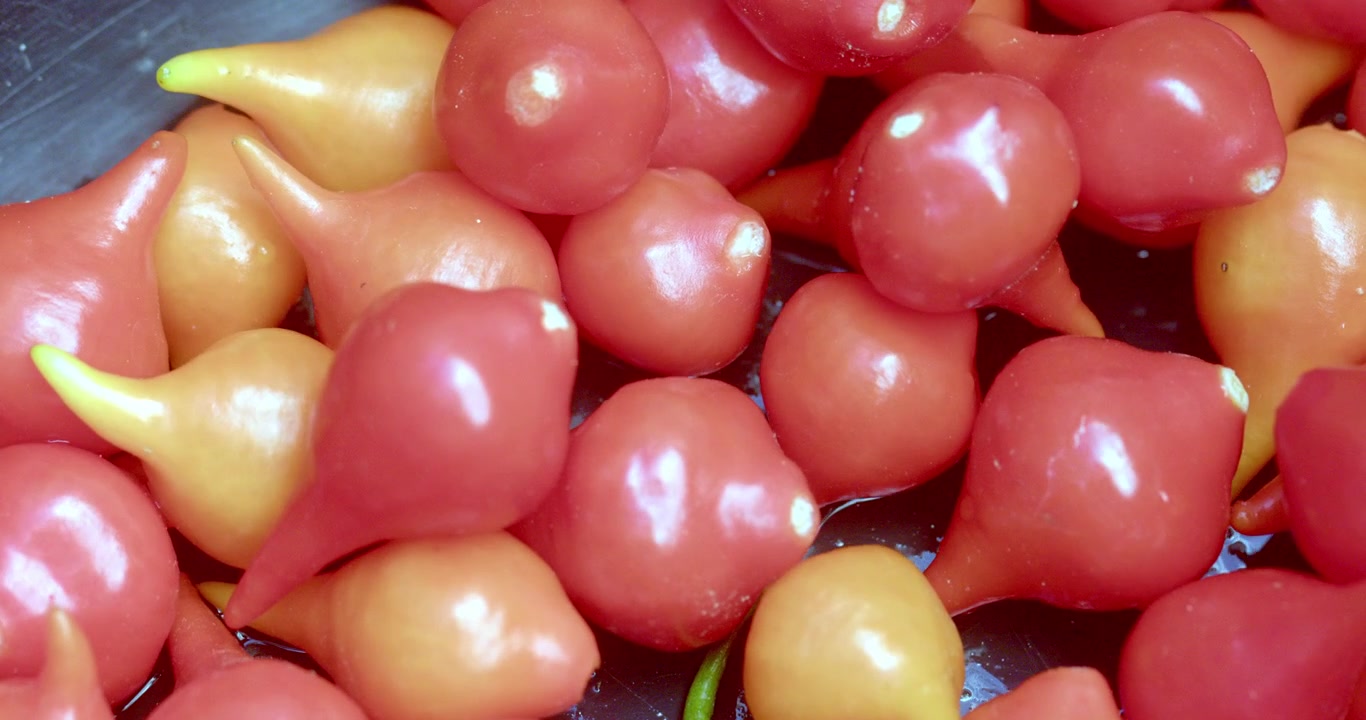 Primo piano di peperoni biquinho freschi rossi e gialli che creano una texture di sfondo alimentare colorata. Macrofotografia dettagliata di peperoncini brasiliani che ne esalta la freschezza.