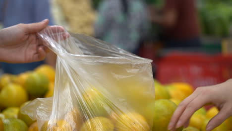 Woman's-hands-seen-selecting-oranges-at-a-produce-store-or-supermarket---isolated