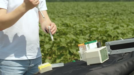 laboratory assistant conducting research on plants in the field