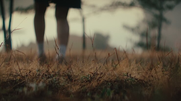 Person Walking Through a Foggy Field
