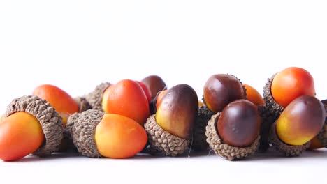 bellotas decorativas de colores