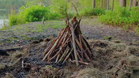 dry sticks arranged in cone shape near swamp waters, zoom reveals stillness, 4k