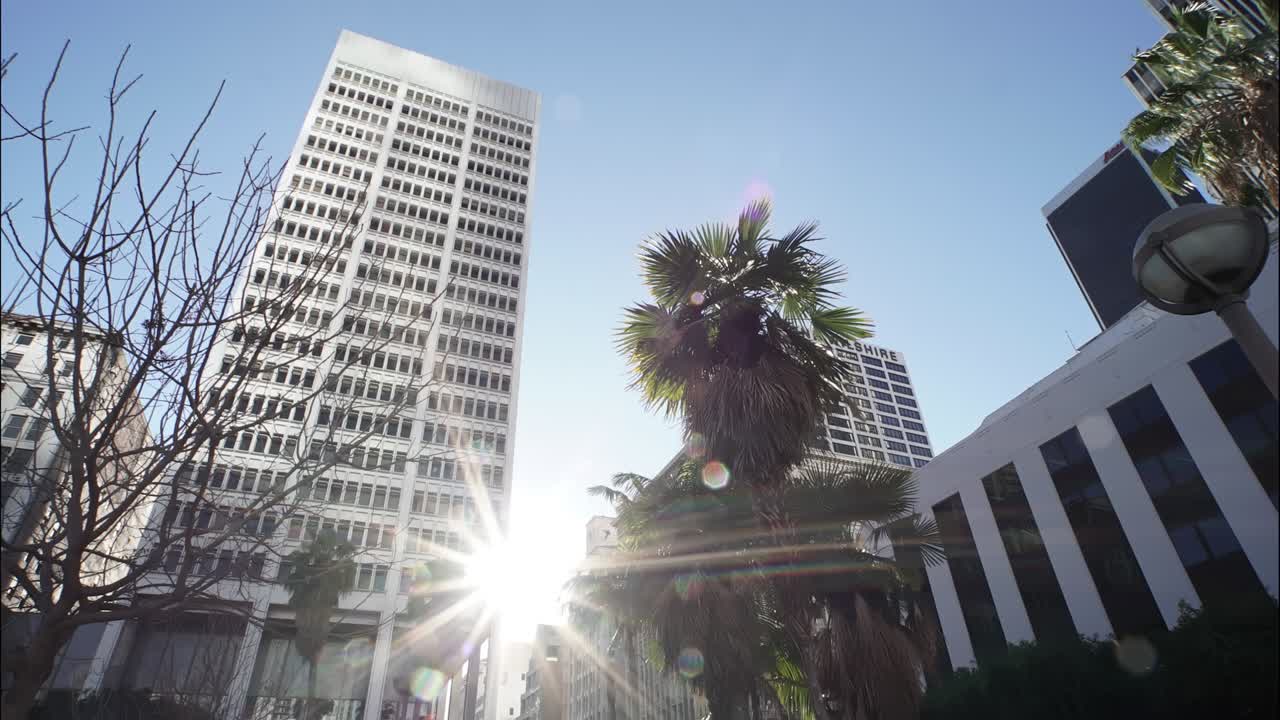 Palmeiras ao lado de arranha-céus no Centro de Los Angeles. Cidade de negócios americana, destino turístico urbano moderno nos EUA. Raios de sol brilham ao lado de arranha-céus modernos no Centro de Los Angeles. Timelapse.