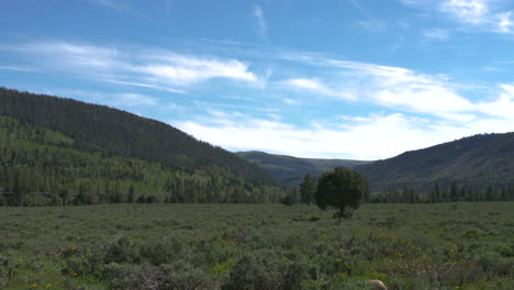 A-Wide-Shot-of-a-valley-between-two-mountains-in-the-Wasatch-Forest-near-Kamas,-Utah