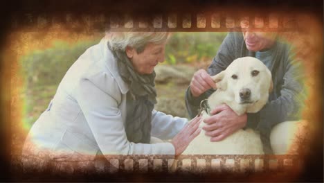 vieja cinta de película video