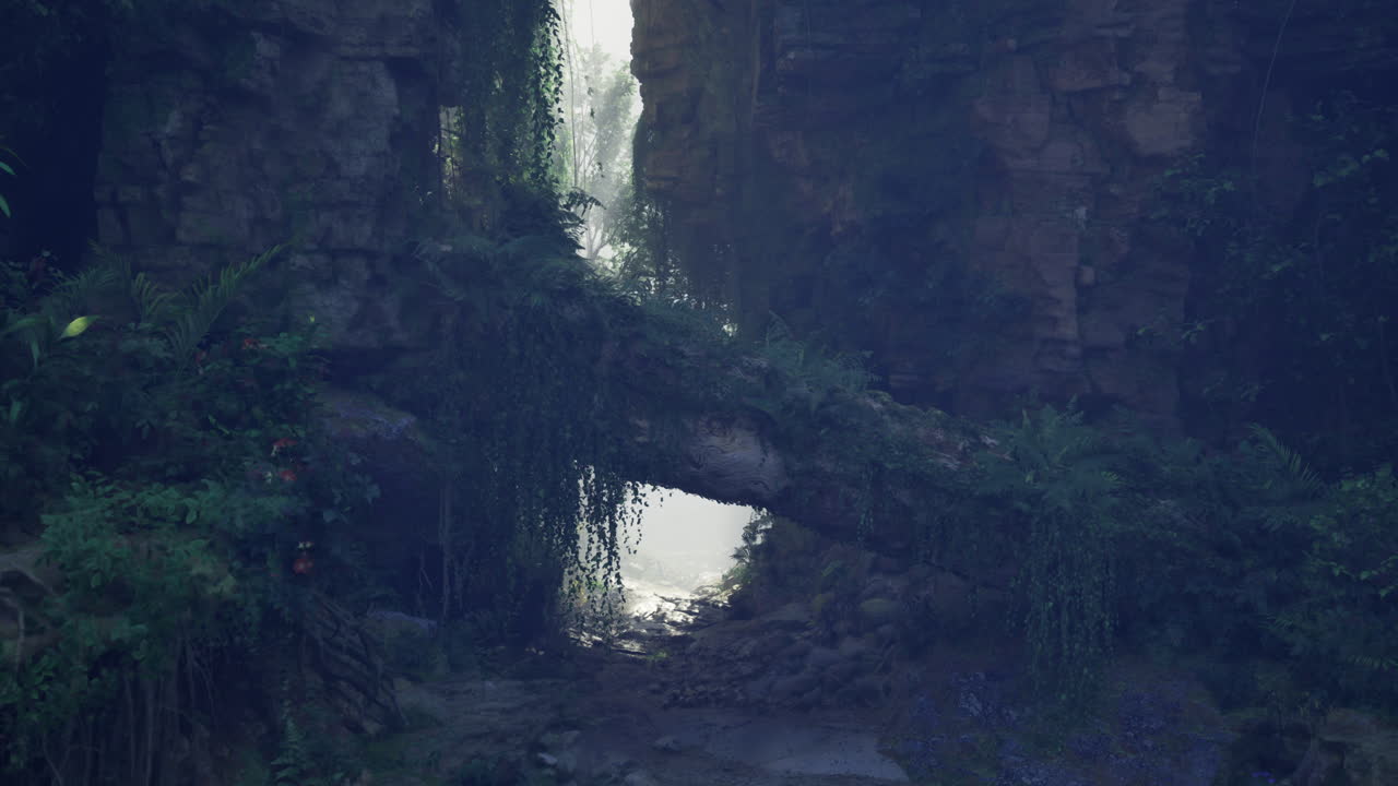 Mysterious woodland gorge with lush foliage and misty light