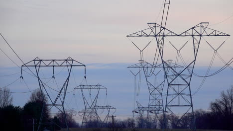 long telephoto shot of electrical pylons with winter trees against an overcast sky