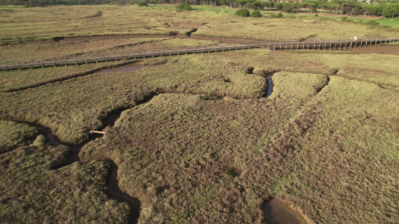 해가 지는 동안 물결이 높을 때 진 ⁇  사이에 있는 나무로 된 산책로