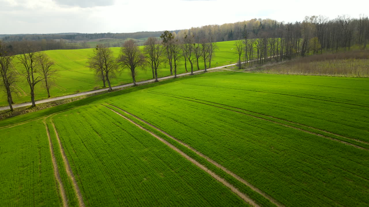 Aerial flyover green countryside fields near avenue and hills in background
